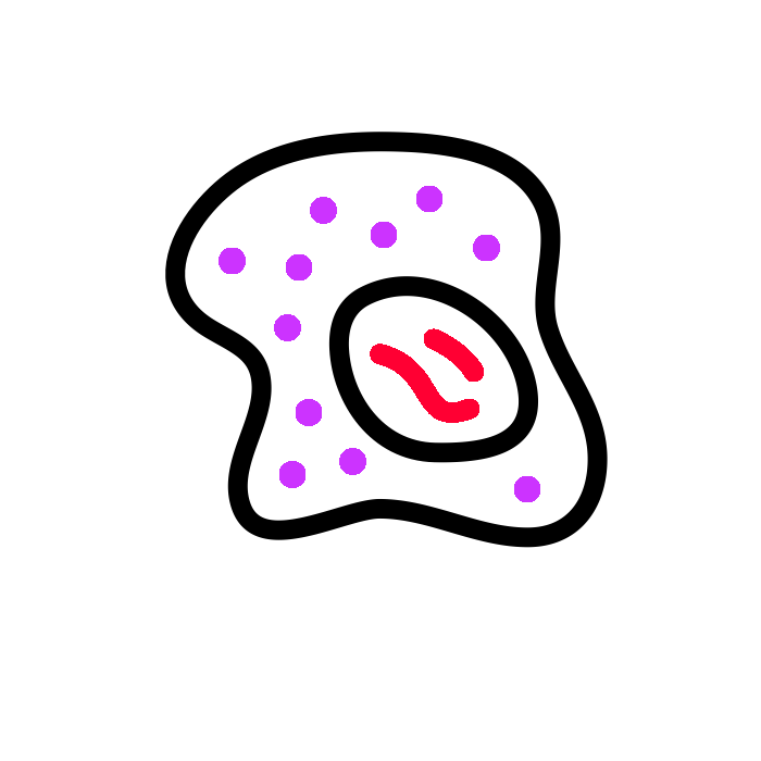Cell Biology marking