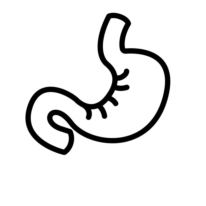 Digestion and nutrition marking